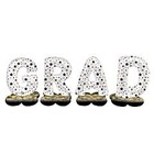 Anagram OMBRE GRAD AIRLOONZ PHRASE KIT