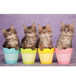 TOMAX TOM30-076 MOGGY KITTENS 300 PCS PUZZLE