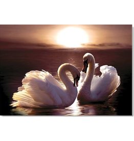 TOMAX TOM30-080 LOVING SWANS 300 PCS PUZZLE