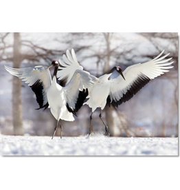 TOMAX TOM30-079 TWO JAPANESE CRANES 300 PCS PUZZLE