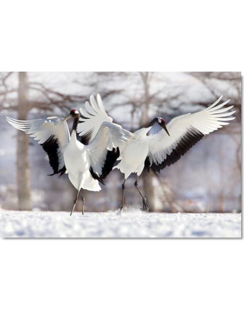 TOMAX TOM30-079 TWO JAPANESE CRANES 300 PCS PUZZLE