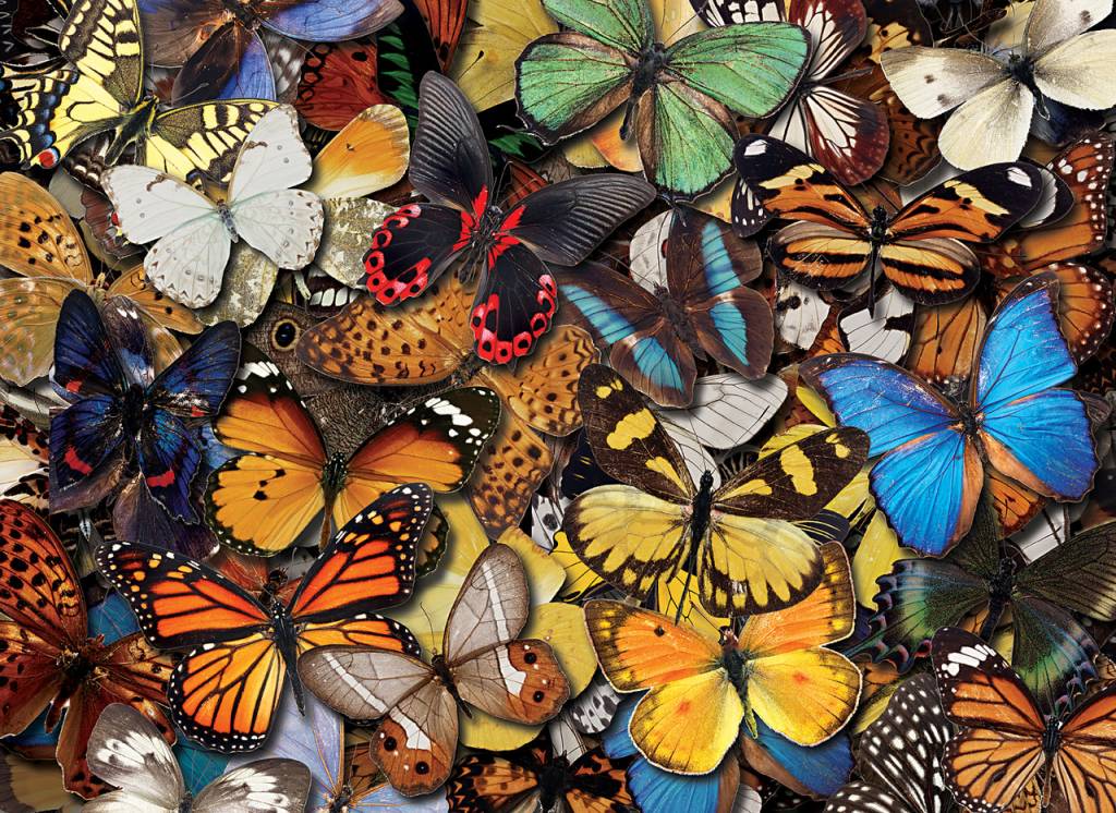 TOM50-110 FLYING COLORS 500 PCS PUZZLE