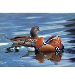 TOMAX TOM50-009 MANDARIN DUCK 500 PCS PUZZLE