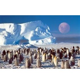 TOMAX TOM100-106 PENGUIN PARTY 1000 PCS PUZZLE