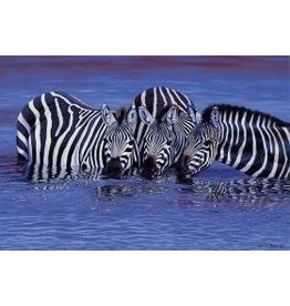 TOMAX TOM100-123 ZEBRAS IN WATER 1000 PCS PUZZLE