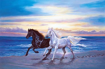 TOM150-008 ALONG THE BEACH 1500 PCS PUZZLE