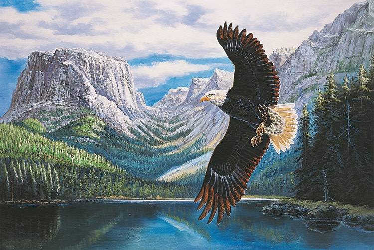 TOM150-007 SEARCHING 1500 PCS PUZZLE