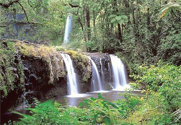 TOM30-038 THE FALLS 300 PCS PUZZLE GLOW IN THE DARK