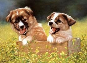 TOM50-019 DOGGIE GARDEN 500 PCS PUZZLE