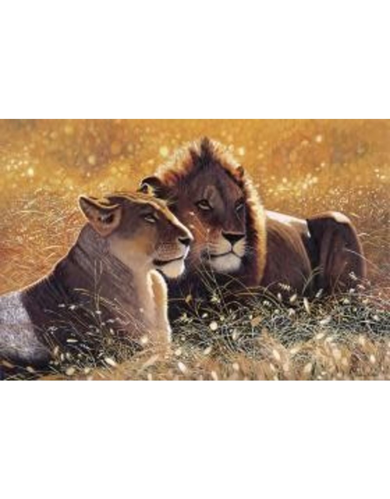 TOMAX TOM100-121 LIONS IN THE SUN 1000 PCS PUZZLE