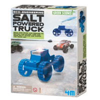 TS4071 SALT POWERED TRUCK