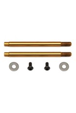TEAM ASSOCIATED ASC91615 3x21 MM SHOCK SHAFT (V2), TiN