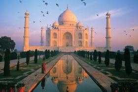 TOM100-078 TAJ MAHAL
