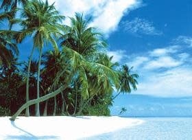 TOM50-001 ISLAND OF PEACE