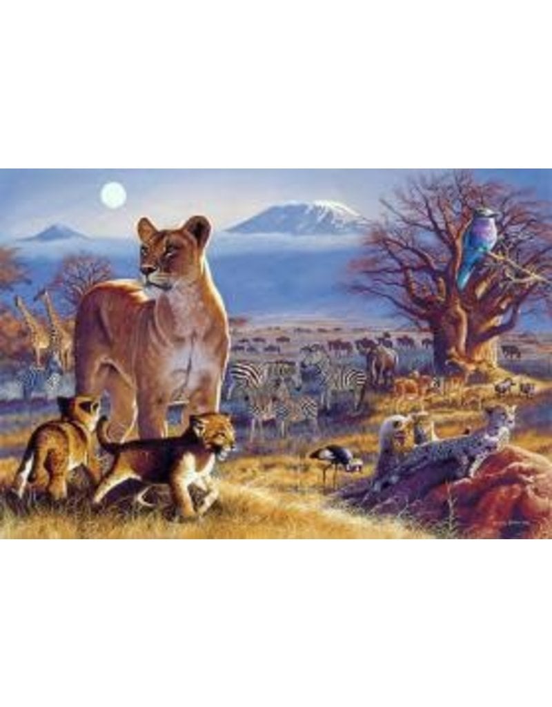 TOMAX TOM100-118 KILIMANJARO TWILIGHT