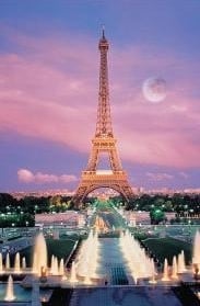 TOM100-100 EIFFEL TOWER