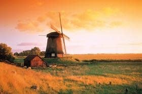 TOM100-081 HOLLAND