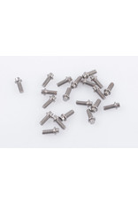 RC4WD RC4Z-S1124 MINIATURE SCALE HEX BOLTS (1.6MM X 4MM): SILVER