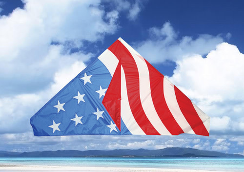 SKK11164 55" USA DELTA KITE