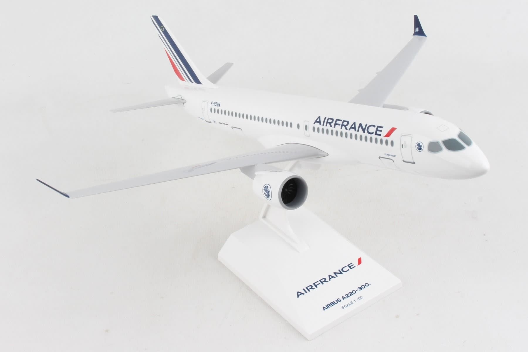SKR1095 1/100 AIR FRANCE A220-300