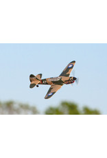 RAGE RC RGRA1305 CURTISS P-40 WARHAWK