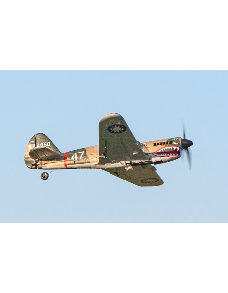 RAGE RC RGRA1305 CURTISS P-40 WARHAWK