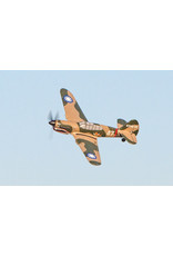 RAGE RC RGRA1305 CURTISS P-40 WARHAWK