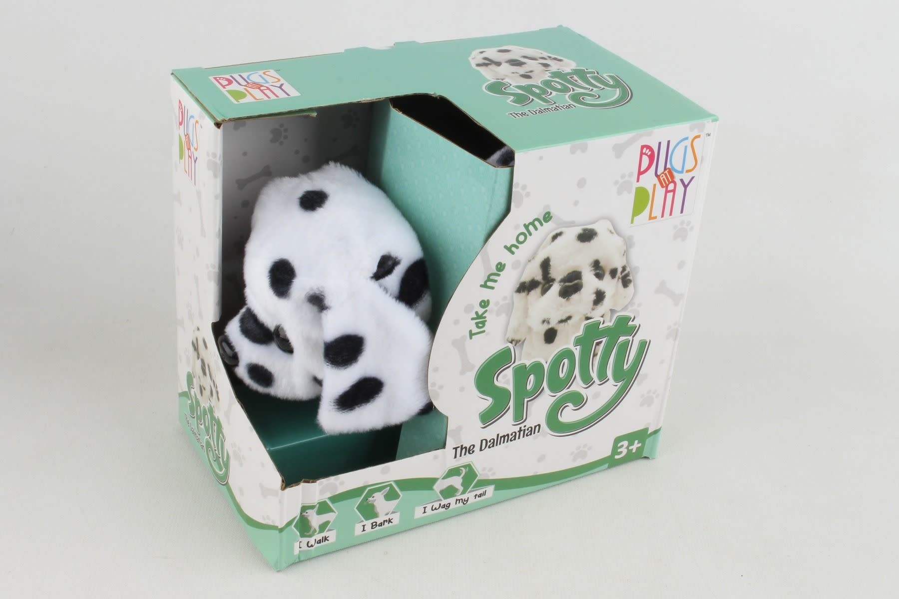 PAP02 PUGS AT PLAY SPOTTY WALKING DOG
