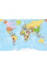 TOMAX TOM100-272 WORLD MAP