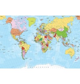 TOMAX TOM100-272 WORLD MAP