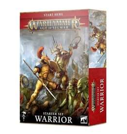 WARHAMMER GW80-15 AGE OF SIGMAR: WARRIOR STARTER SET