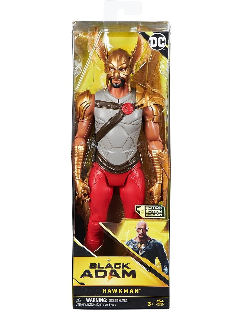 SPIN MASTER SPNM6065494/20139477 BLACK ADAM HAWKMAN