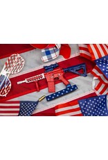 GOAT GUN GOAAR-USA 1/3 SCALE DIE-CAST AR-USAA AR-15 NON-FIRING MODEL KIT