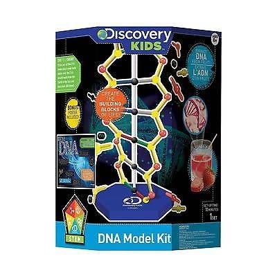 70062 DISCOVERY KIDS DNA MODEL KIT