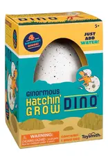 TOYSMITH TS8538 HATCHIN GROW DINO