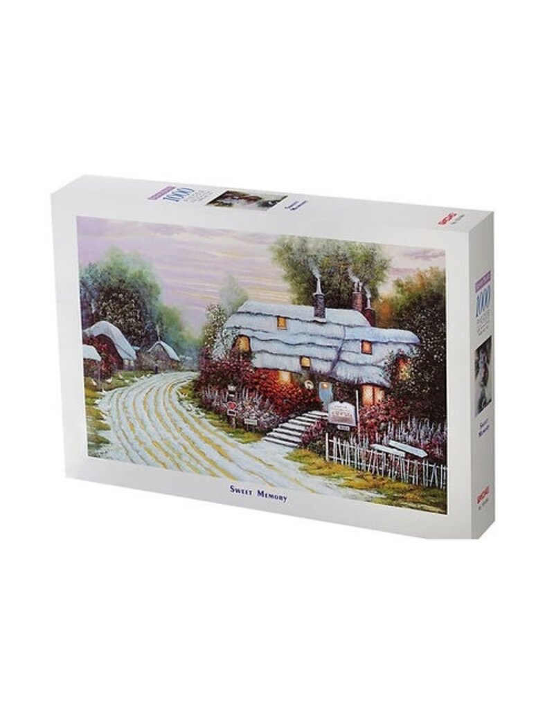 TOMAX TOM100-064 SWEET MEMORY 1000PCS