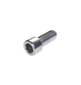 TEAM KNK KNK 4MM X 16MM CAP HEAD SCREW SS (25)