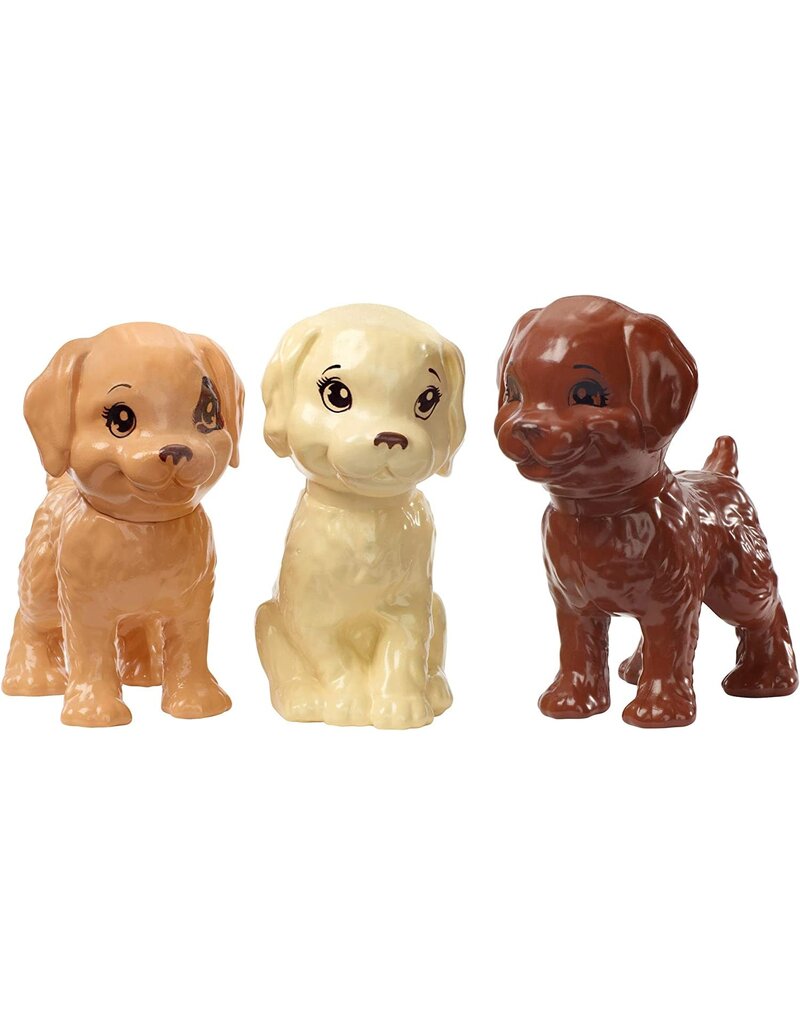 BARBIE MTL GDJ39 BARBIE PUPPIES AND POOL PLAYSET