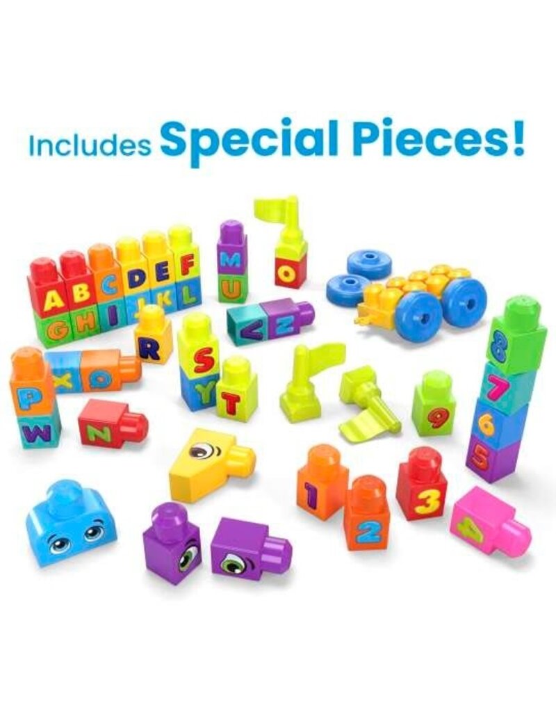 MEGA BLOKS FP HHM97 MEGA BLOKS EVEN BIGGER BUILDING BAG 300PCS