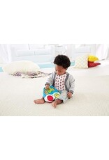 FISHER PRICE FP HXK32/HXK33 ANIMAL FRIENDS DISCOVERY CAR