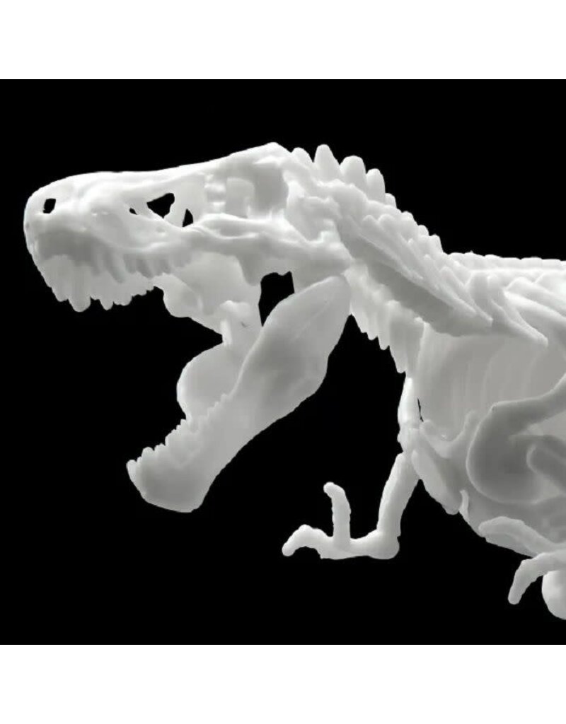 BANDAI BAN2569526 TYRANNOSAURUS , BANDAI SPIRITS HOBBY DINOSAUR MODEL KIT LIMEX SKELETON