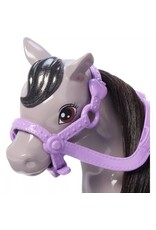 BARBIE MTL HTK29 BARBIE CHELSEA DOLL &  PONY