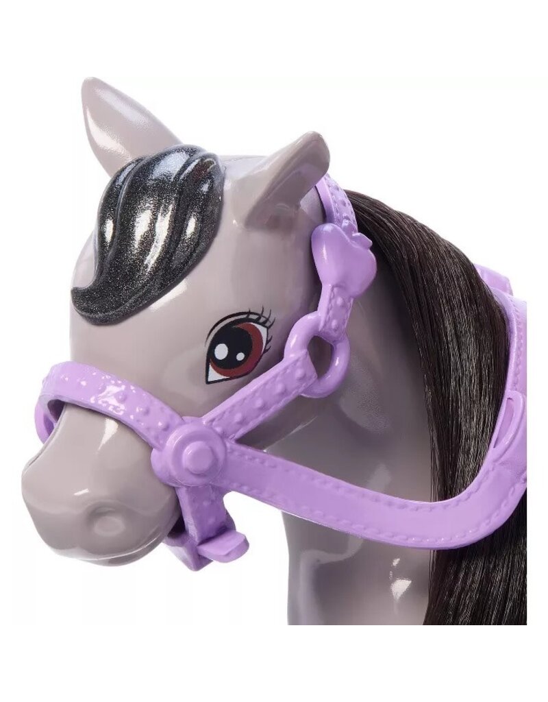 BARBIE MTL HTK29 BARBIE CHELSEA DOLL &  PONY