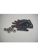 SILVER HORSE SHRC 52523440 PAN BEARING SET CHROME STEEL 3X6X2.5 (7)