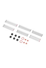 AXIAL AXI-2225 SHOCK TUNING AND REBUILD KIT, IS10: AXP8