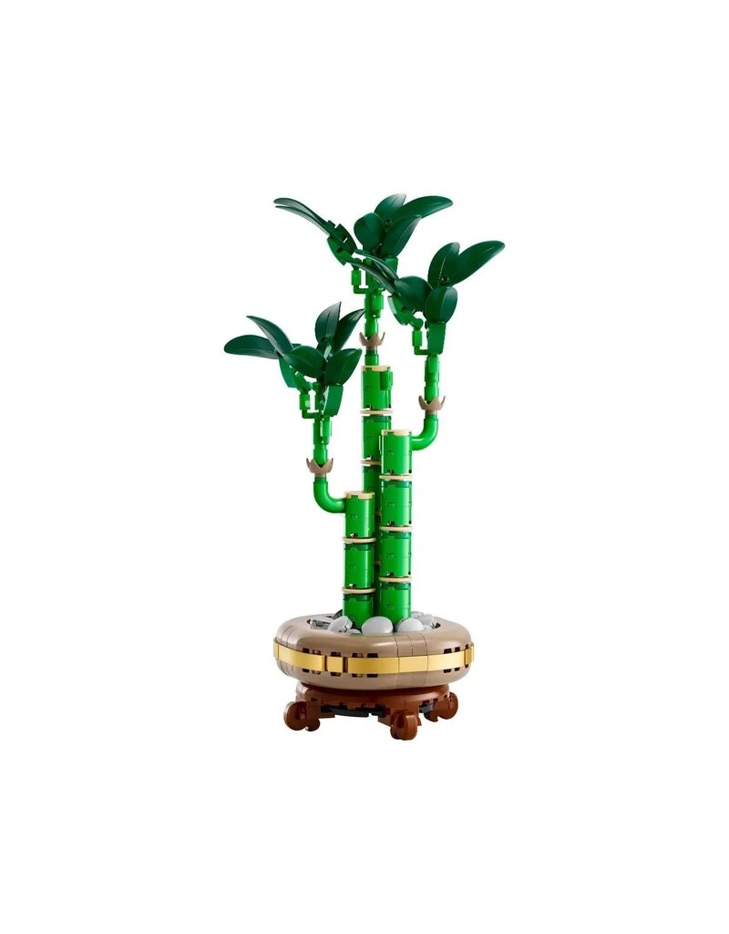 LEGO LEGO 10344 BOTANICALS LUCKY BAMBOO