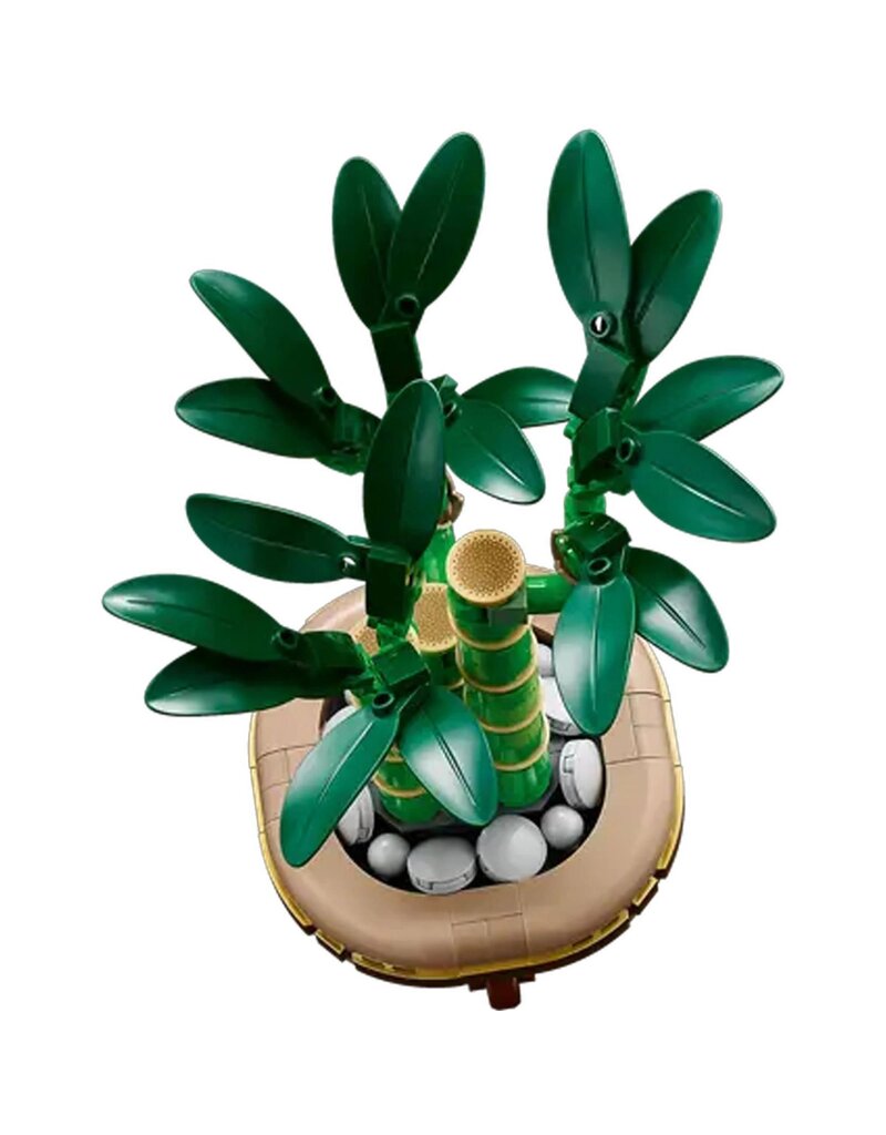 LEGO LEGO 10344 BOTANICALS LUCKY BAMBOO