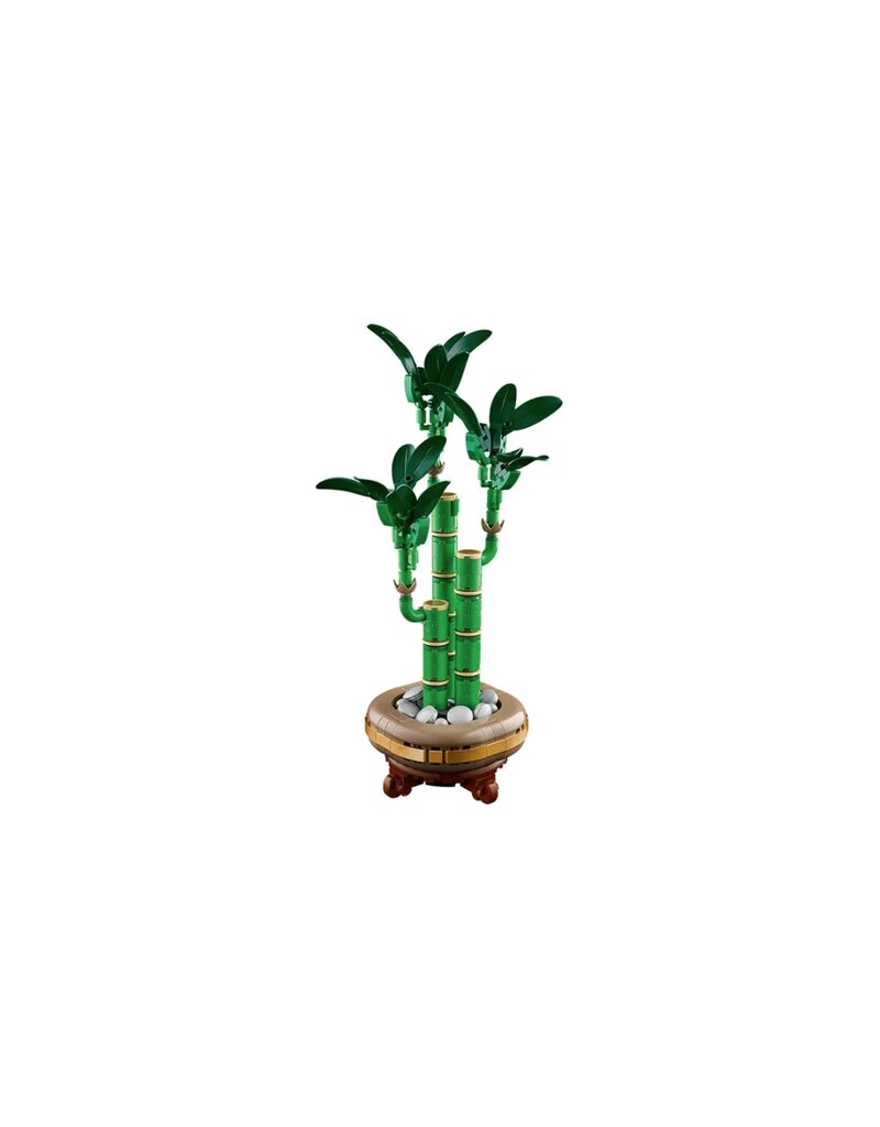 LEGO LEGO 10344 BOTANICALS LUCKY BAMBOO