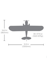 HOBBYZONE HBZ32001SE CARBON CUB S 2 1.3M CLEETUS MCFARLAND SPECIAL EDITION RTF BASIC