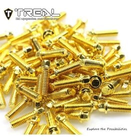 TREAL TRLX004YHT7IH 1.9 BEADLOCK WHEEL STEEL SCALE HEX HEAD SCREWS (GOLD) (100)